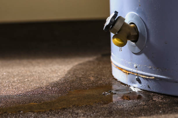 Best Water damage restoration near me  in Ocean Bluff Brant Rock, MA