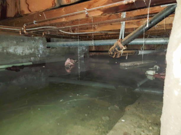 Best Water damage contractors near me  in Ocean Bluff Brant Rock, MA