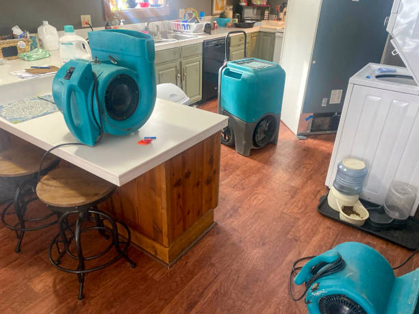  Ocean Bluff Brant Rock, MA Water damage restoration Pros