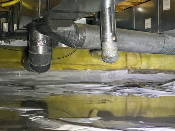 Best Flood damage cleanup  in Ocean Bluff Brant Rock, MA