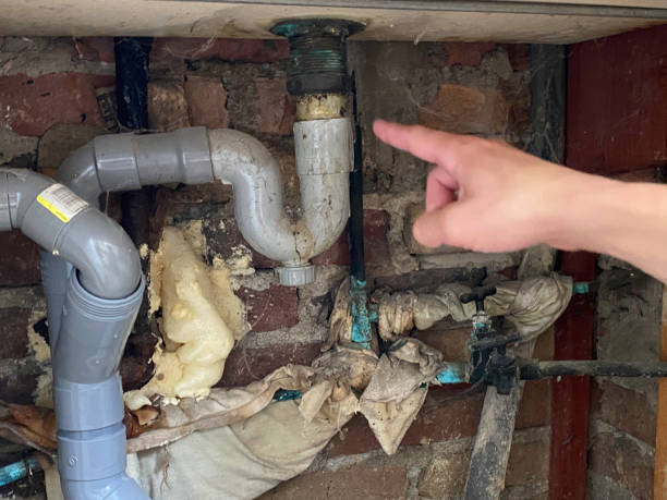 Best Carpet water damage restoration  in Ocean Bluff Brant Rock, MA